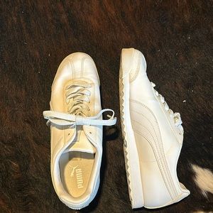 Puma Romas